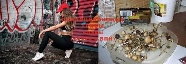 первитин Бородино