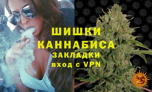 спайс Богородицк