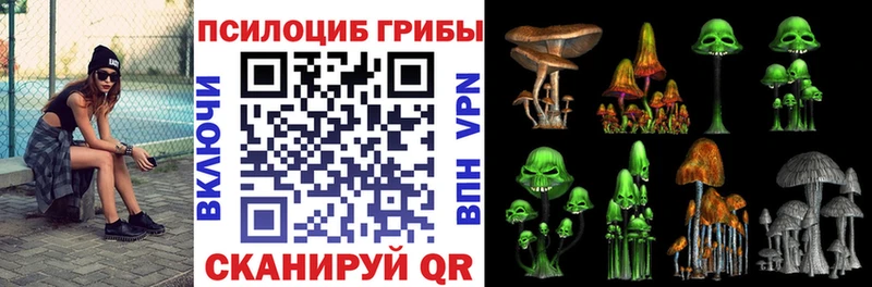 Галлюциногенные грибы Psilocybe  магазин продажи наркотиков  Вуктыл 